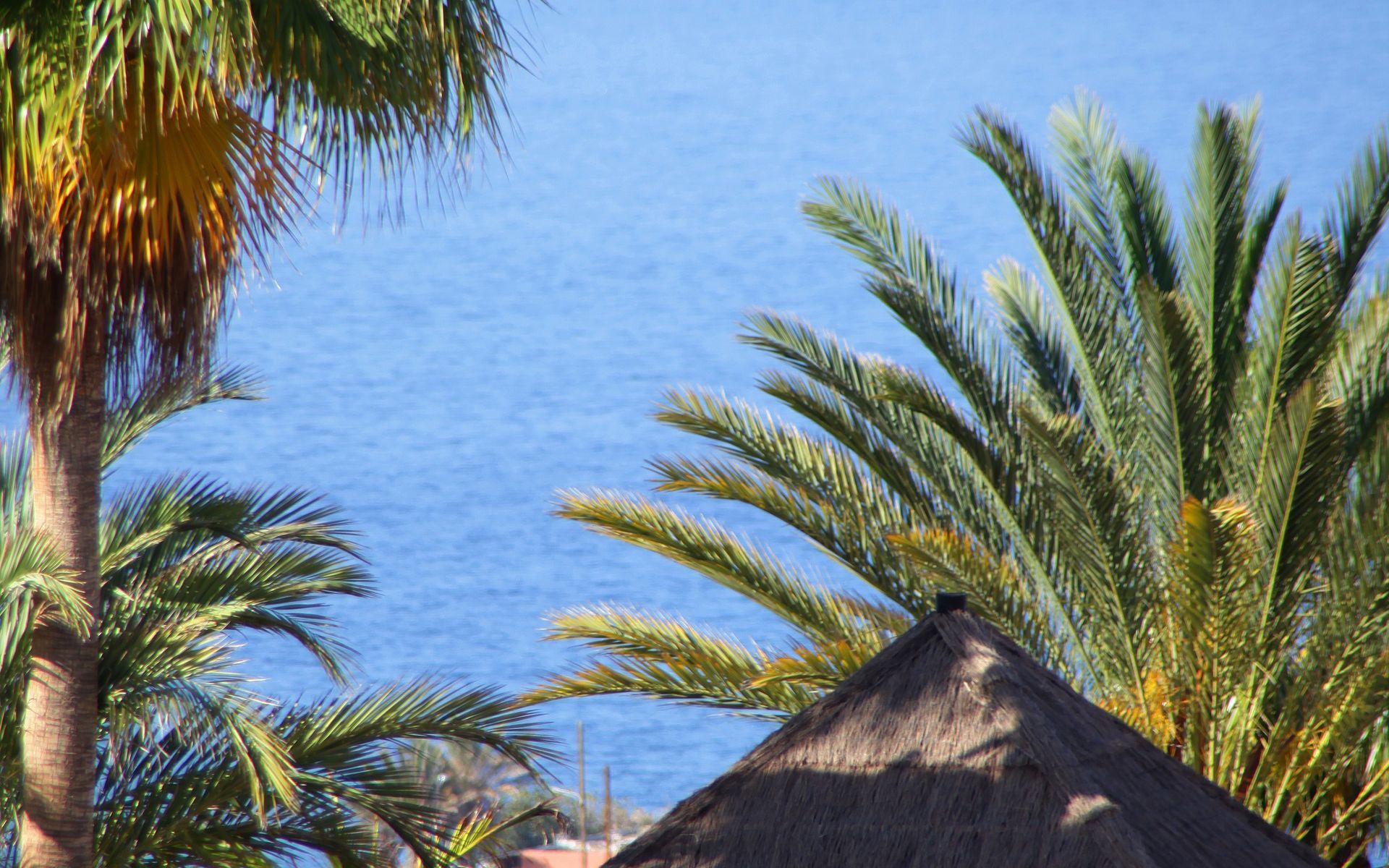 فندق Bahia Principe Sunlight Costa Adeje المظهر الخارجي الصورة